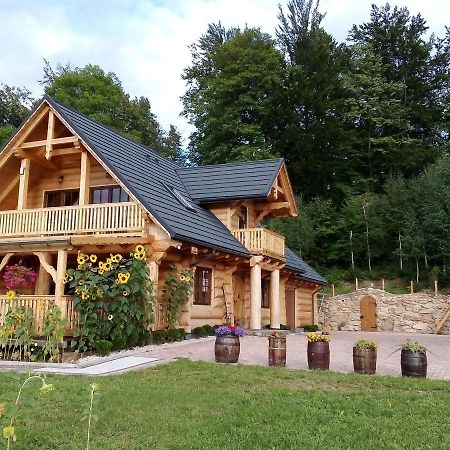 U Janusza I Grazyny Appartement Ściegny Buitenkant foto
