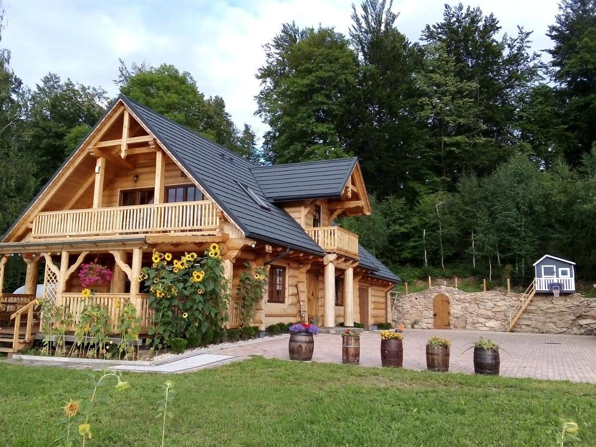U Janusza I Grazyny Appartement Ściegny Buitenkant foto