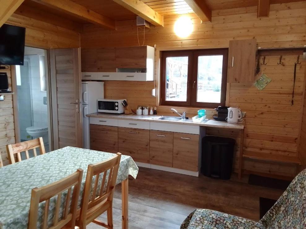 U Janusza I Grazyny Appartement Ściegny Buitenkant foto
