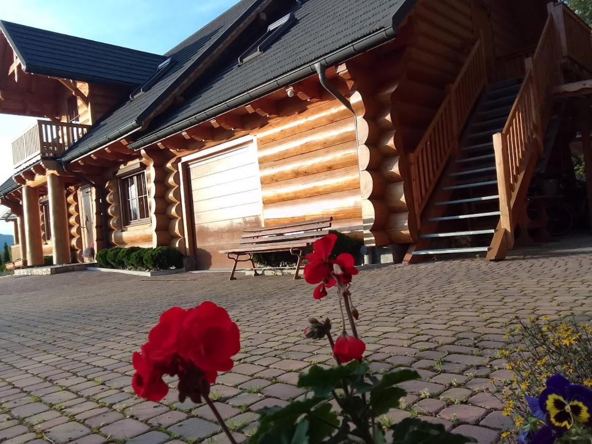 U Janusza I Grazyny Appartement Ściegny Buitenkant foto